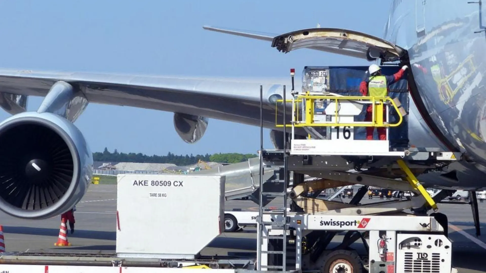 Expedited Freight